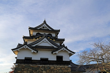 晩秋の彦根城