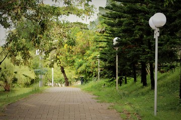path in park