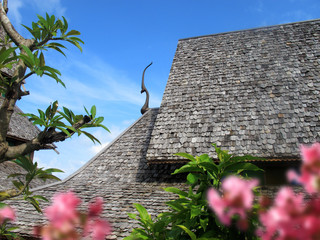 Fototapeta na wymiar close up traditional asian roof top of building with wooden roof tiles in Phuket island, Thailand