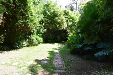 courtyard,  pathway to secluded garden