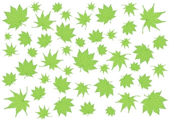 Leaves green pattern on white background illustration