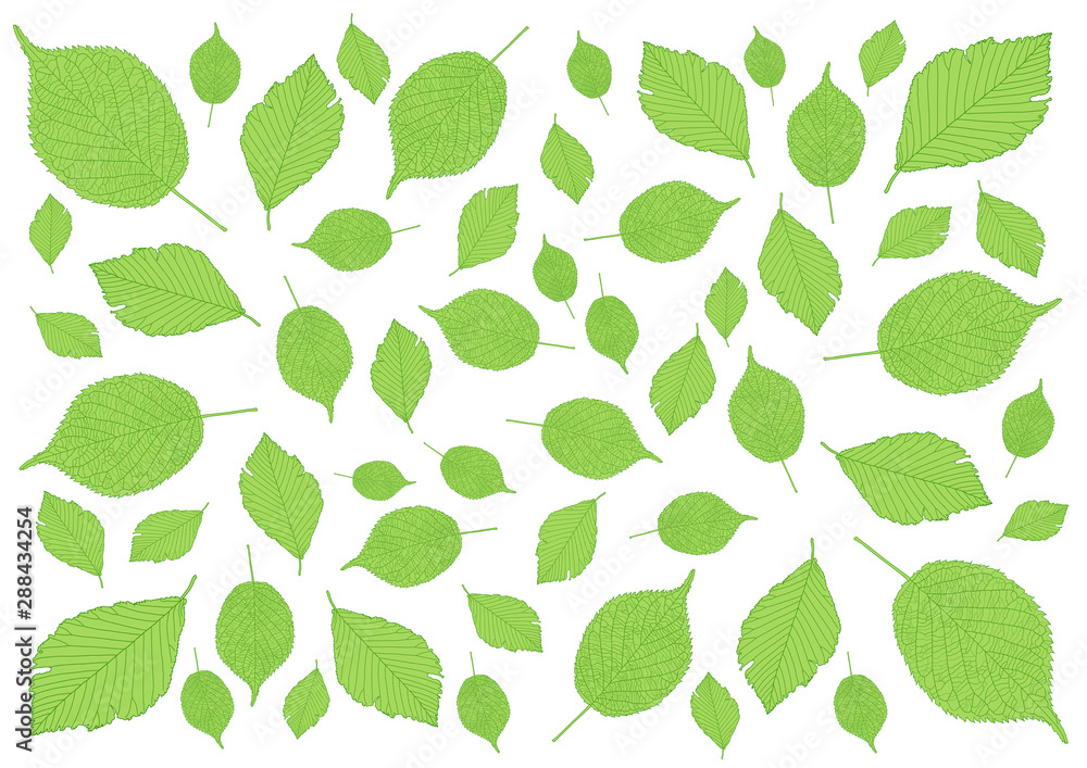 Wall mural Leaves green pattern on white background illustration