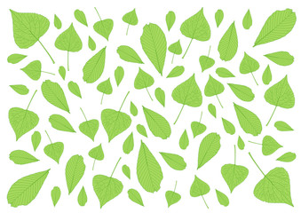 Leaves green pattern on white background illustration