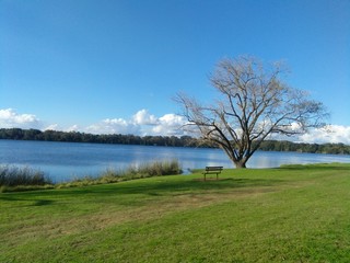 Lake Monger/ Tree, bench,green grass, blue sky and lake