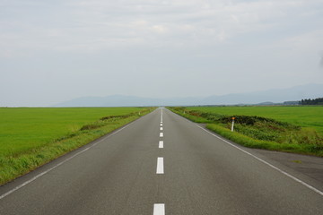 Fototapeta premium 北海道 果てしなく続く道路