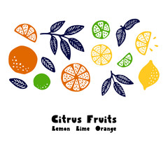 Collection of citrus fruits - orange, lemon, lime and leaves icons set, colorful isolated on white background, vector illustration.