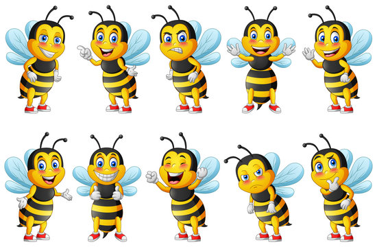Cartoon cute bee character set. vector illustration