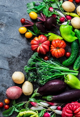Fresh seasonal vegetables food background. Aubergines, tomatoes, radishes, peppers, broccoli, potatoes, beets on a dark background, top view. Flat lay