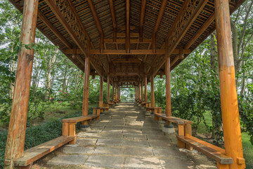 Summer view of a wooden promenade in the woods of the Asian park