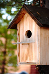 Old wooden brown birdhouse hanging on the tree trunk in autumn weather and colors. Bird nest with wooden roof and circle hole entrance