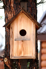 old wooden birdhouse hanging on the brown tree branch. Autumn temperature and colors reflected on the wooden surface of bird nest with roof