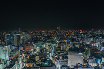 Fototapeta na wymiar Tokyo from the roof