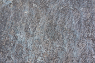 Grey sedimentary rock texture closeup