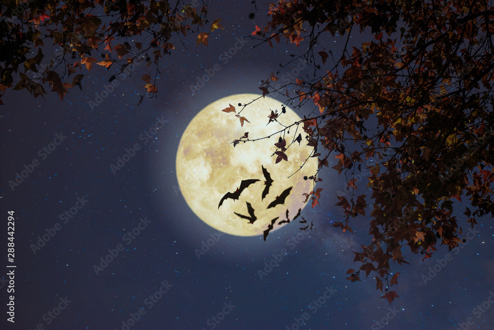 Sticker beautiful autumn fantasy - maple tree in fall season and full moon with star. retro style with vinta