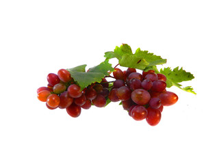 grape isolated on white background