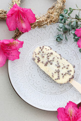 White ice cream on stick.