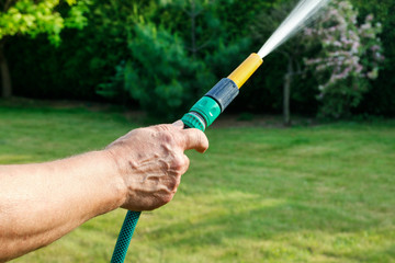 Watering plants. Man holding garden hose