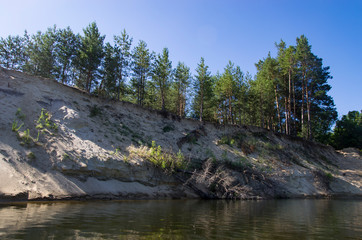 Fototapeta na wymiar Forest on a steep bank of a river