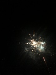 fireworks in the night sky