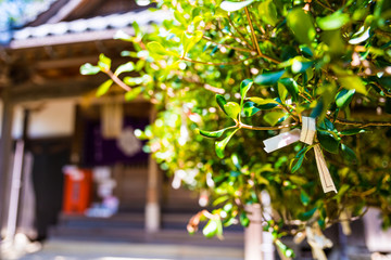 鹿島明神社