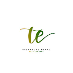 T E TE Initial letter handwriting and  signature logo concept design.