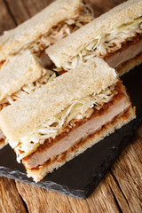 Homemade tender katsu sando sandwiches with tonkatsu sauce and cabbage close-up on a slate board. vertical