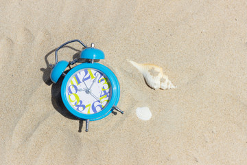 Fototapeta na wymiar blue clock and sea shell on beach