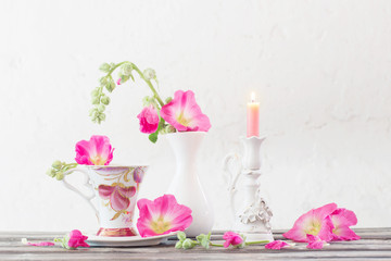 still life with pink mallow on white background