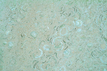 The organic texture of natural stone with the imprints of sea shells grey pink cold tones. Background