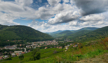 Fototapeta na wymiar Landschaft bei Kaysersberg im Elsass
