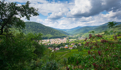 Landschaft bei Kaysersberg im Elsass