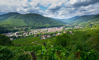 Landschaft bei Kaysersberg im Elsass