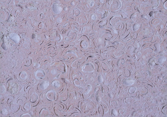 Organic texture of natural stone with traces of sea shells of muted pinkish gray color and uniform light. Background