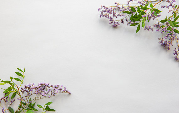 Dried Flowers On A White Background
