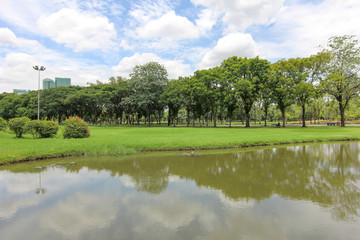 View in the natural green garden