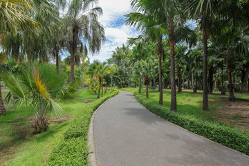 The view of the garden walkway with green trees looks natural.
