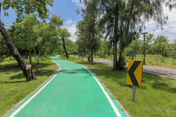 Cycling paths in the park