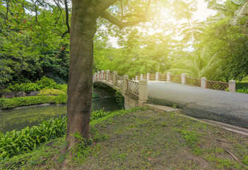 View of the natural garden in the evening