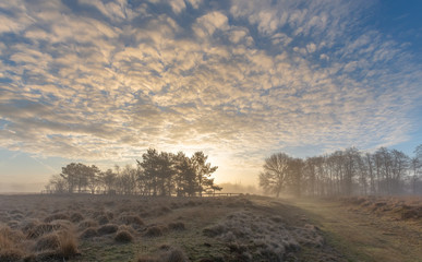 Clouded Landscape