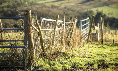 old gates in a field © James