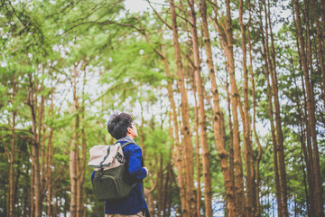 Fototapeta premium man walking in the deep pine forest with large backpack.