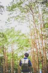 man walking in the deep pine forest with large backpack.