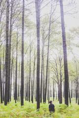 man walking in the deep pine forest with large backpack.