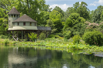 Fototapeta na wymiar Lewis Ginter Botanical Garden, Richmond, Virginia, USA
