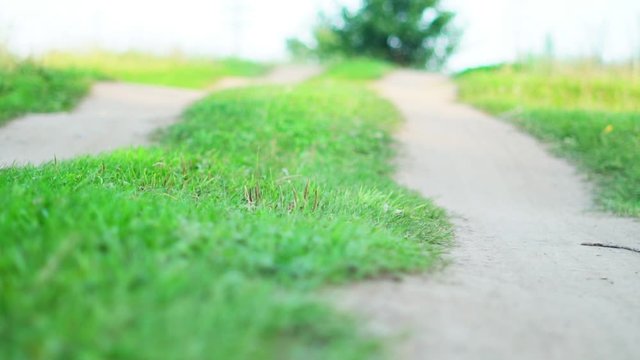 road in the camera movement field