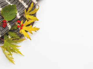 Grey knitted scarf with fallen leaves and berries on white background. Folded warm accessory with copy space.