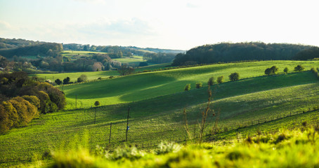 Shadows on green hills in england