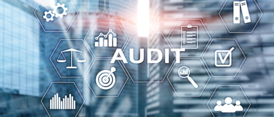 Audit business and finance concept. nalysis Annual Financial Statements, Analyze return on...
