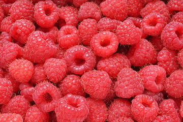 Raspberries background or texture