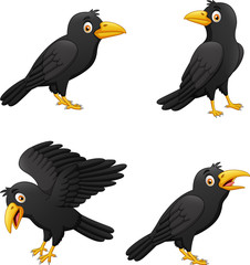 Set of cartoon crow with different expressions. vector illustration